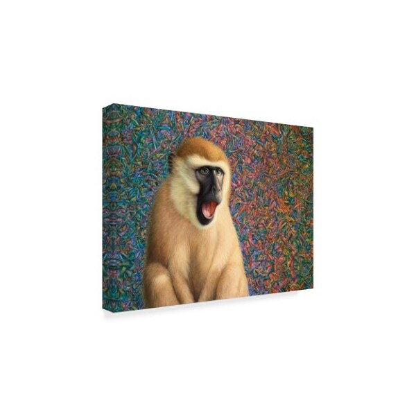 James W. Johnson 'Yawn' Canvas Art,14x19